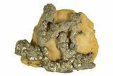 Golden Pyrite on Limonite Clay - Pakistan #337937-1